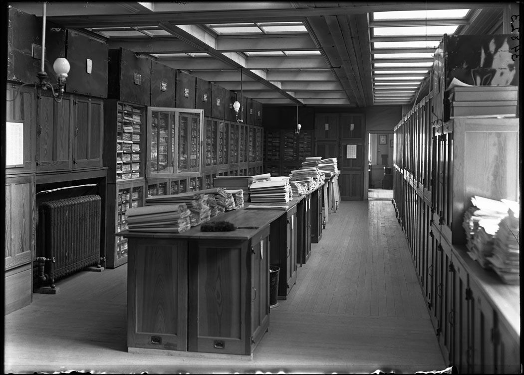 Herbarium cabinets in a natural history museum