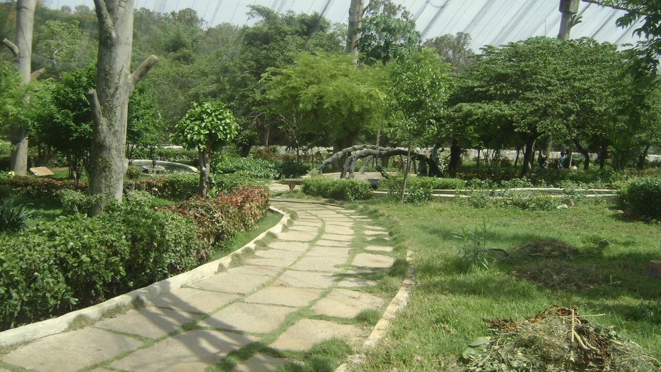 Walkway through the aviary