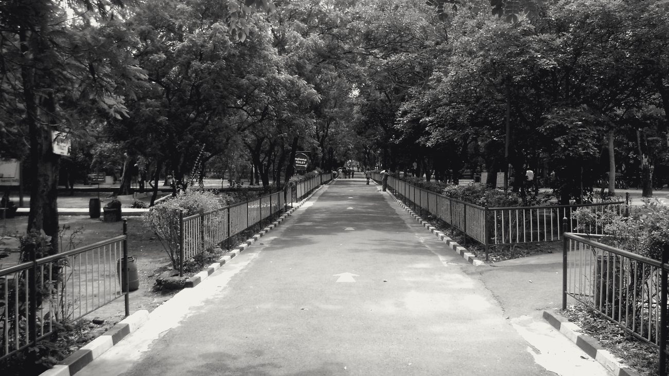 A road through the zoo grounds