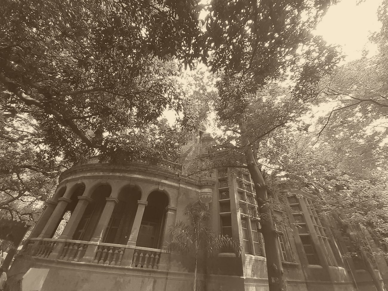 The Government Museum, Chennai