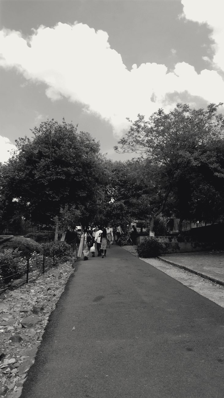 A path through the trees at Vandalur