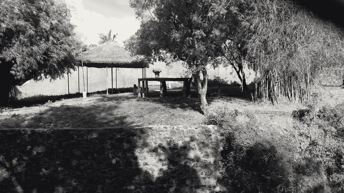 Woodland at Vandalur