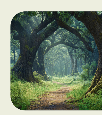 Lush green canopy forest tunnel path