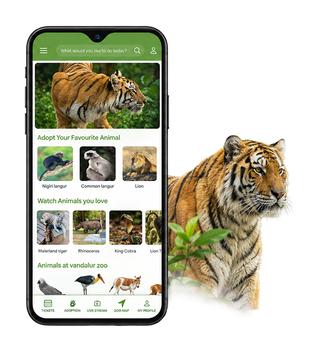 AAZP Mobile App interface mockup on smartphone with Bengal Tiger peeking